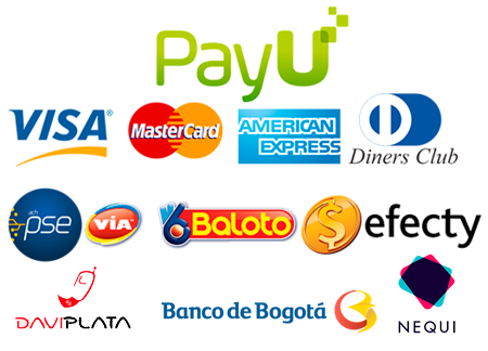 medios de pago